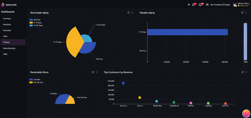 Pre-Built Executive Dashboard Glimpse 4