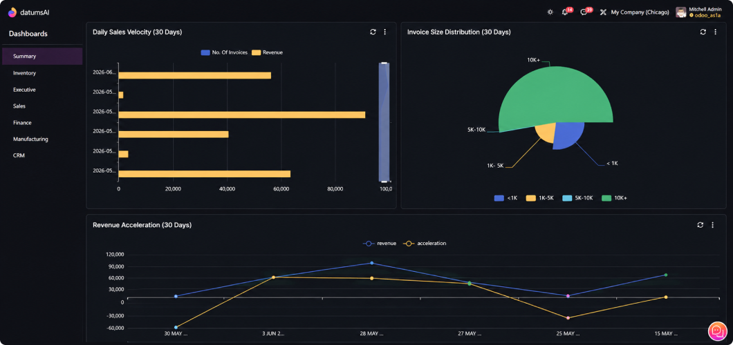 Pre-Built Executive Dashboard Glimpse 6